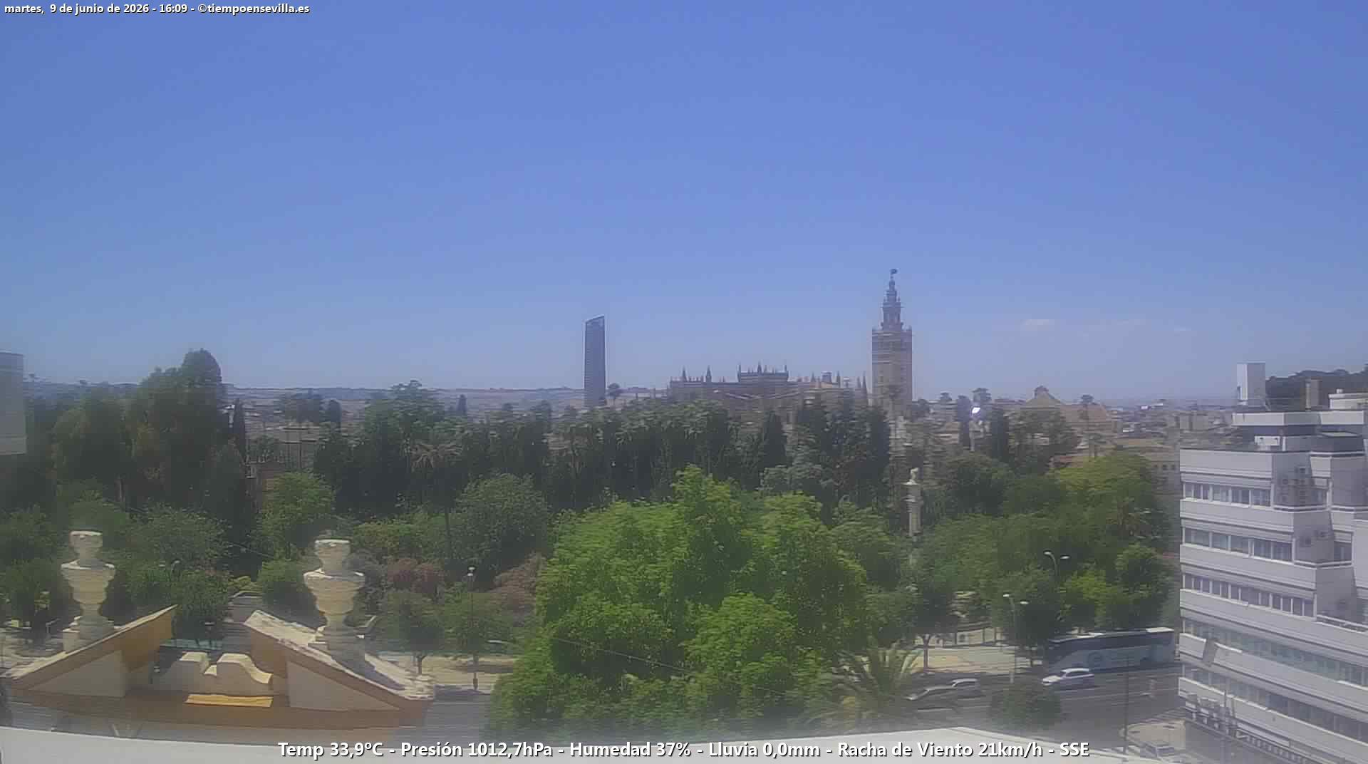 Santa Cruz, la Catedral + Giralda